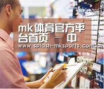 研发能力标题三