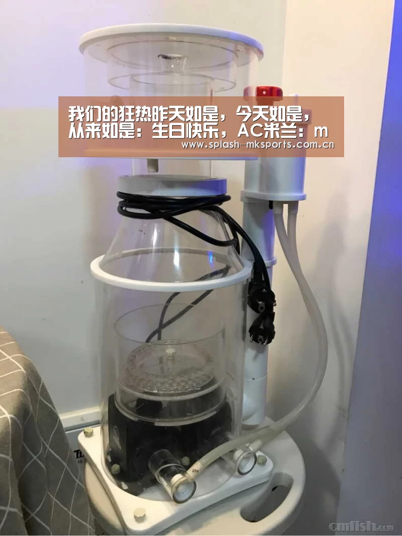mk体育app下载入口