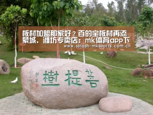 mk体育
